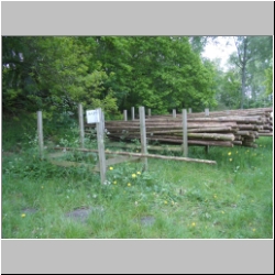 IMGP7024.JPG