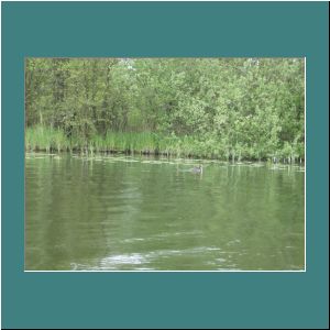 image011.JPG