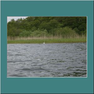 image015.JPG